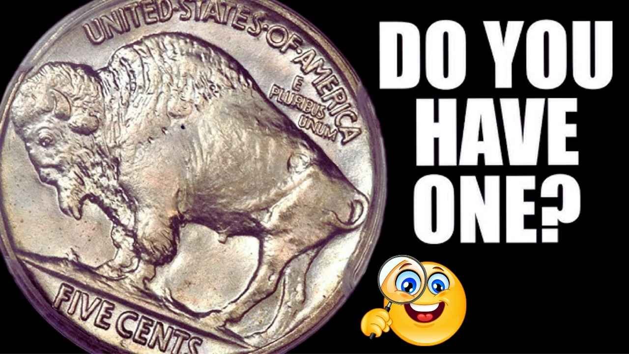 The Buffalo Nickel That Sat in a Piggy Bank